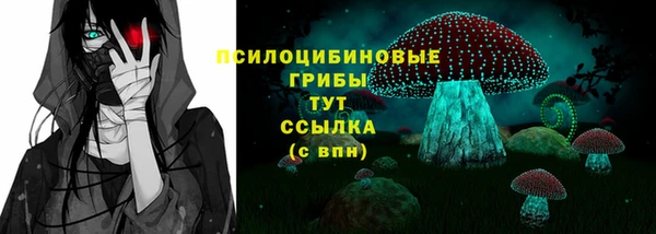 apvp Алагир
