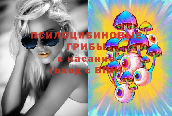 ПСИЛОЦИБИНОВЫЕ ГРИБЫ Балабаново