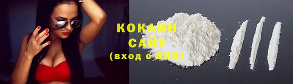 стаф Щигры