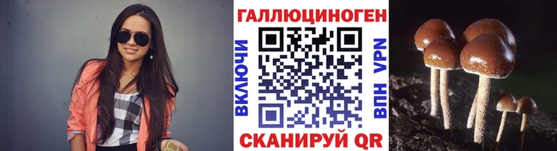 Галлюциногенные грибы Psilocybe  Лангепас 